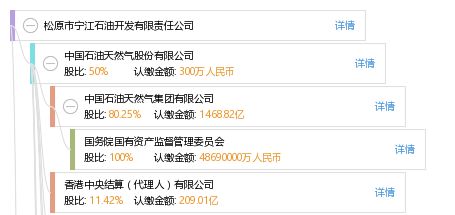 松原市寧江石油開發有限責任公司