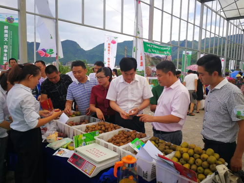 醉美遵義 四季主題游 暨渝客入遵 百日行動(dòng) 秋季采摘體驗(yàn)游啟動(dòng)儀式及系列活動(dòng)在綏隆重舉行